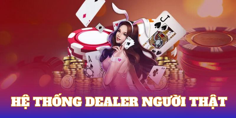 Hệ thống Dealer người thật 