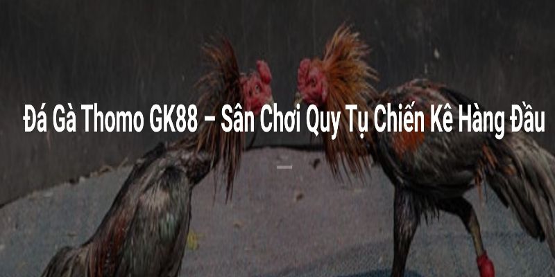 GK88 là điểm cược đá gà tin cậy