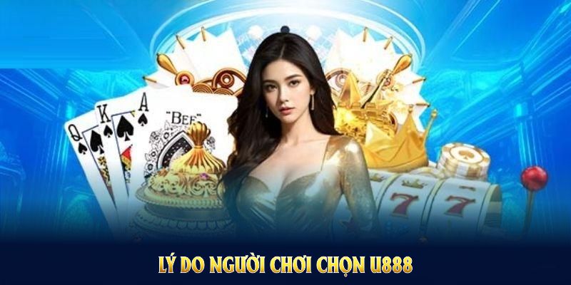 Lý do người chơi chọn U888 để cá cược